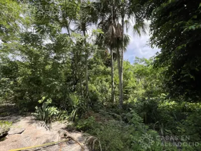 House in México, Yucatán, Valladolid, Pueblo Tixhualatun, photo 5