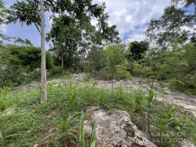 House in México, Yucatán, Valladolid, Pueblo Tixhualatun, photo 13