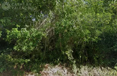 Terreno en México, Yucatán, Uayma, Pueblo Uayma, foto 4