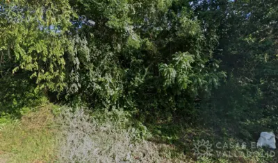 Terreno en México, Yucatán, Uayma, Pueblo Uayma, foto 5