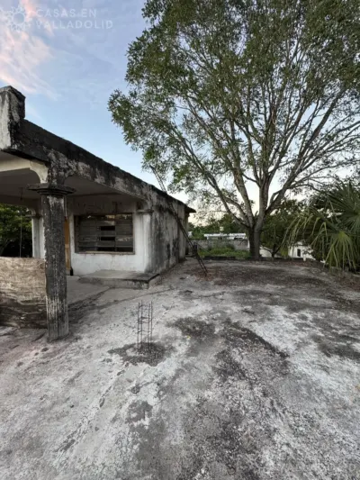 Land in México, Yucatán, Valladolid, Fernando Novelo, photo 3