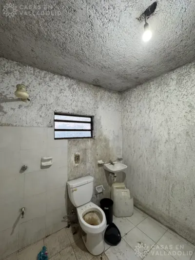 Land in México, Yucatán, Valladolid, Fernando Novelo, photo 4