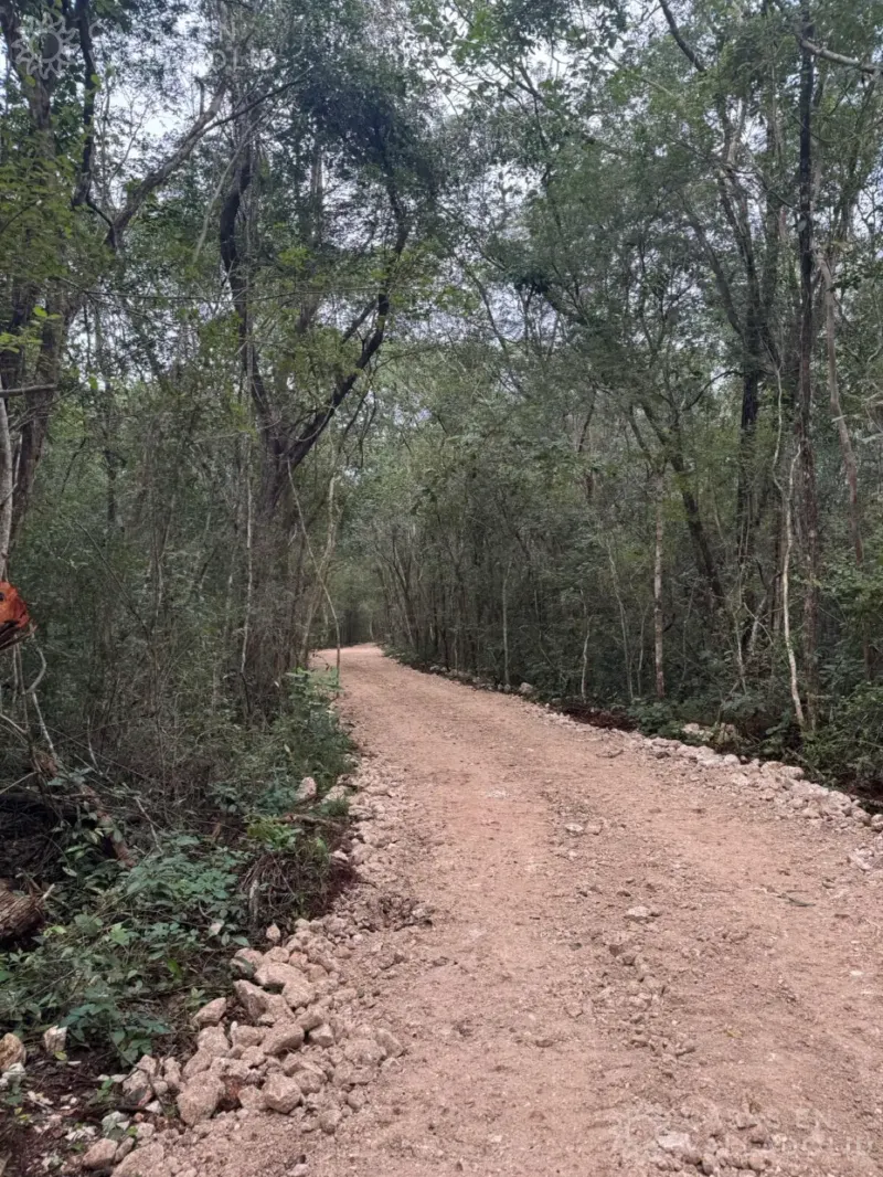 Land in México, Yucatán, Cuncunul, photo 1