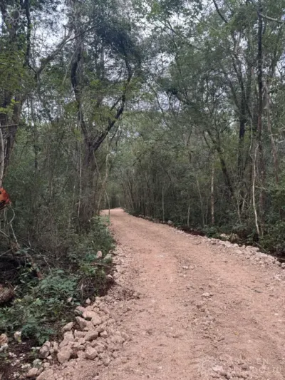Terreno en México, Yucatán, Cuncunul, foto 1