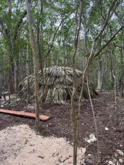 Terreno en México, Yucatán, Cuncunul, foto 4