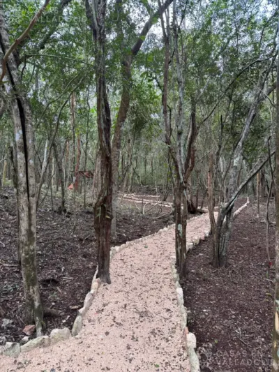 Terreno en México, Yucatán, Cuncunul, foto 5