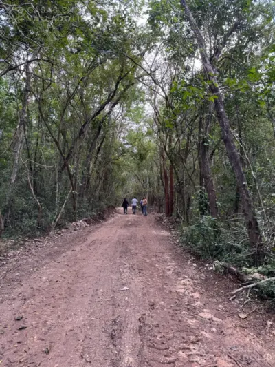 Terreno en México, Yucatán, Cuncunul, foto 6