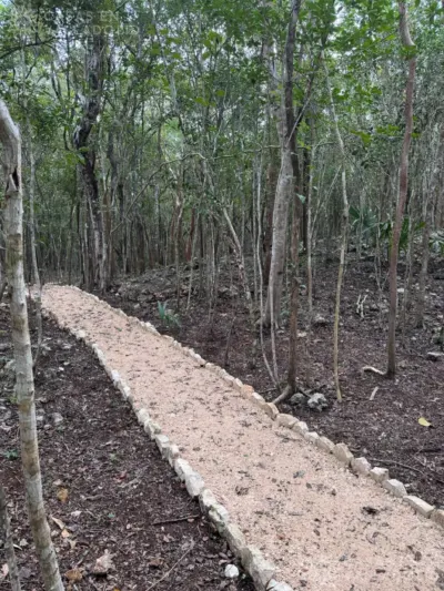 Terreno en México, Yucatán, Cuncunul, foto 7