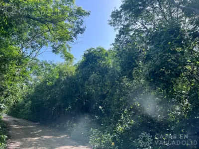 Land in México, Quintana Roo, Tulum, Tulum, photo 1