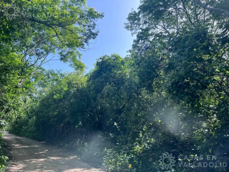 Terreno en México, Quintana Roo, Tulum, Tulum, foto 1