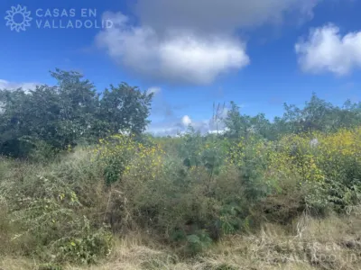 Land in México, Yucatán, Valladolid, Residencial Campestre, photo 2