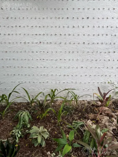 Casa en México, Yucatán, Valladolid, Sisal, foto 18