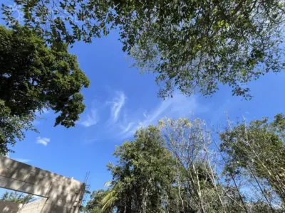 Casa en México, Yucatán, Valladolid, Sisal, foto 29