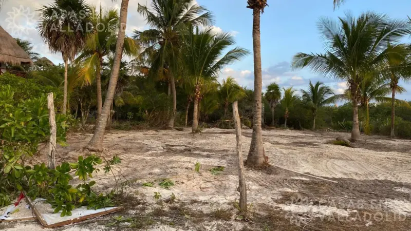 Terreno en México, Quintana Roo, Lázaro Cárdenas, Isla de Holbox, foto 1