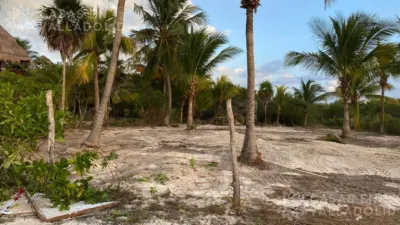 Terreno en México, Quintana Roo, Lázaro Cárdenas, Isla de Holbox, foto 1