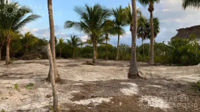Terreno en México, Quintana Roo, Lázaro Cárdenas, Isla de Holbox, foto 3