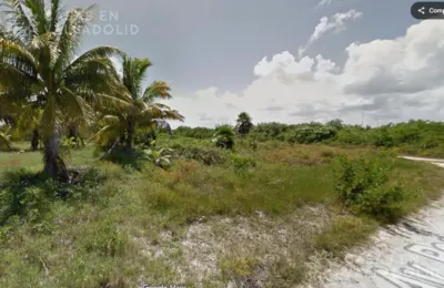 Terreno en México, Quintana Roo, Lázaro Cárdenas, Isla de Holbox, foto 5