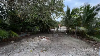 House in México, Yucatán, Tizimín, photo 14