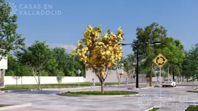 Land in México, Yucatán, Valladolid, photo 17