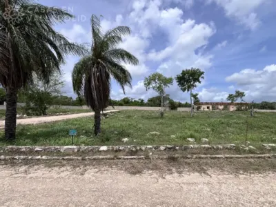 Land in México, Yucatán, Valladolid, photo 1