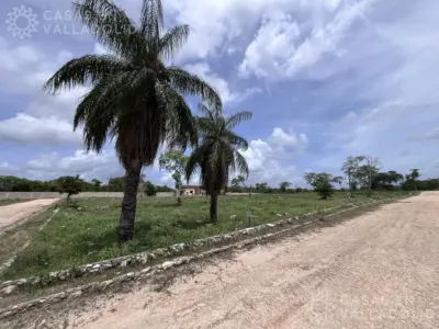 Land in México, Yucatán, Valladolid, photo 2