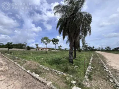 Land in México, Yucatán, Valladolid, photo 3