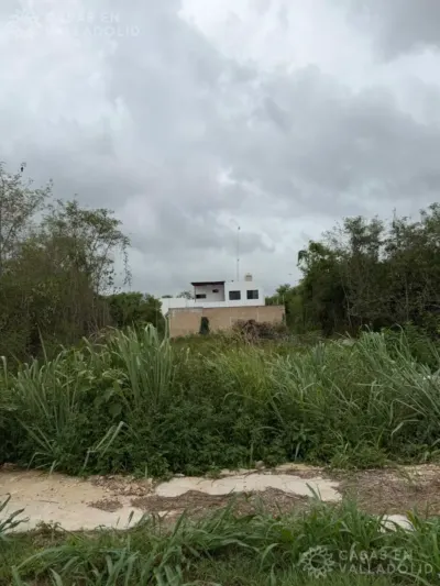 Land in México, Yucatán, Valladolid, photo 2