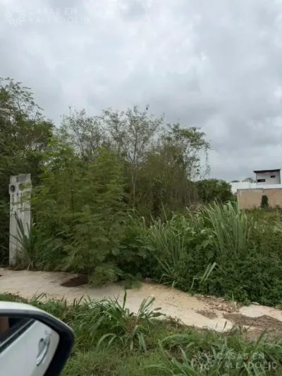 Land in México, Yucatán, Valladolid, photo 3