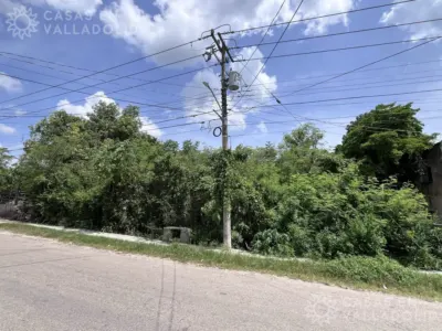 Terreno en México, Yucatán, Valladolid, Fernando Novelo, foto 5