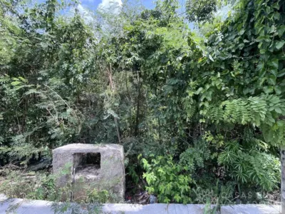 Terreno en México, Yucatán, Valladolid, Fernando Novelo, foto 6