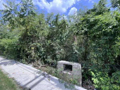 Terreno en México, Yucatán, Valladolid, Fernando Novelo, foto 7