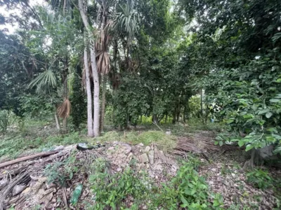 House in México, Yucatán, Valladolid, Sisal, photo 25