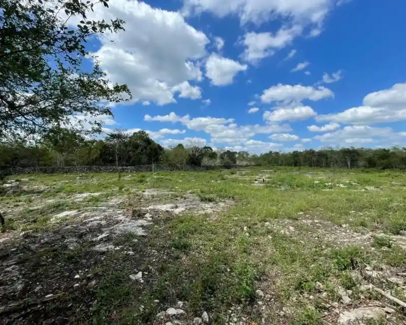 Land in México, Yucatán, Valladolid from Casas en Valladolid