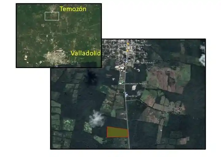 Terreno en México, Yucatán, Temozón de Casas en Valladolid