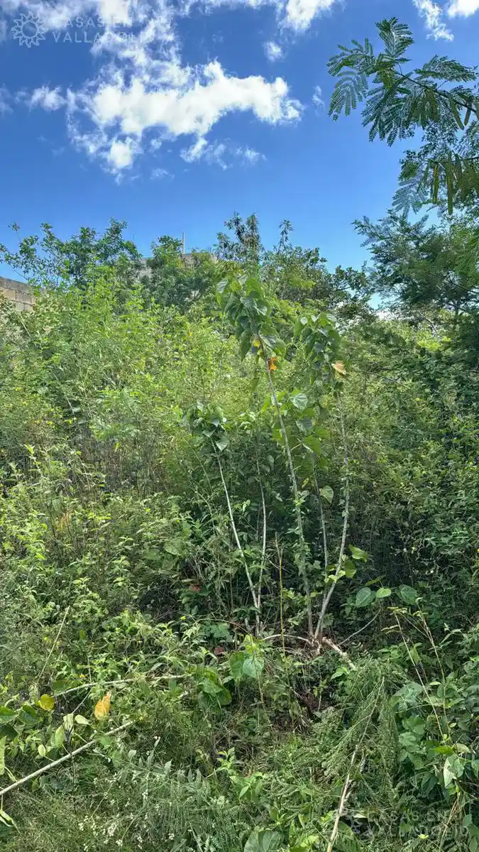 Land in México, Yucatán, Valladolid from Casas en Valladolid