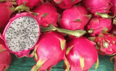 Fruit of the Yucatan
