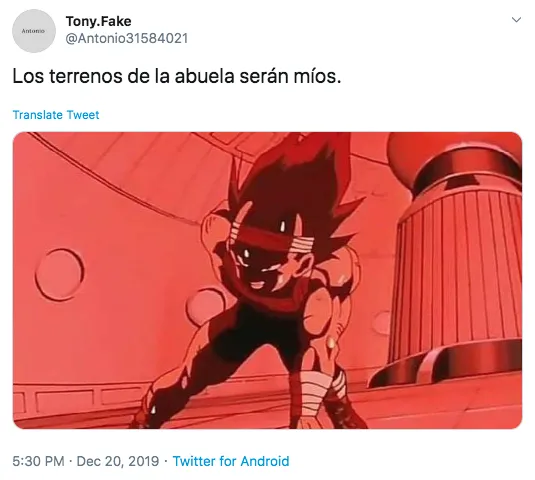 No te pelees por los terrenos de la abuela… — Casas en Valladolid