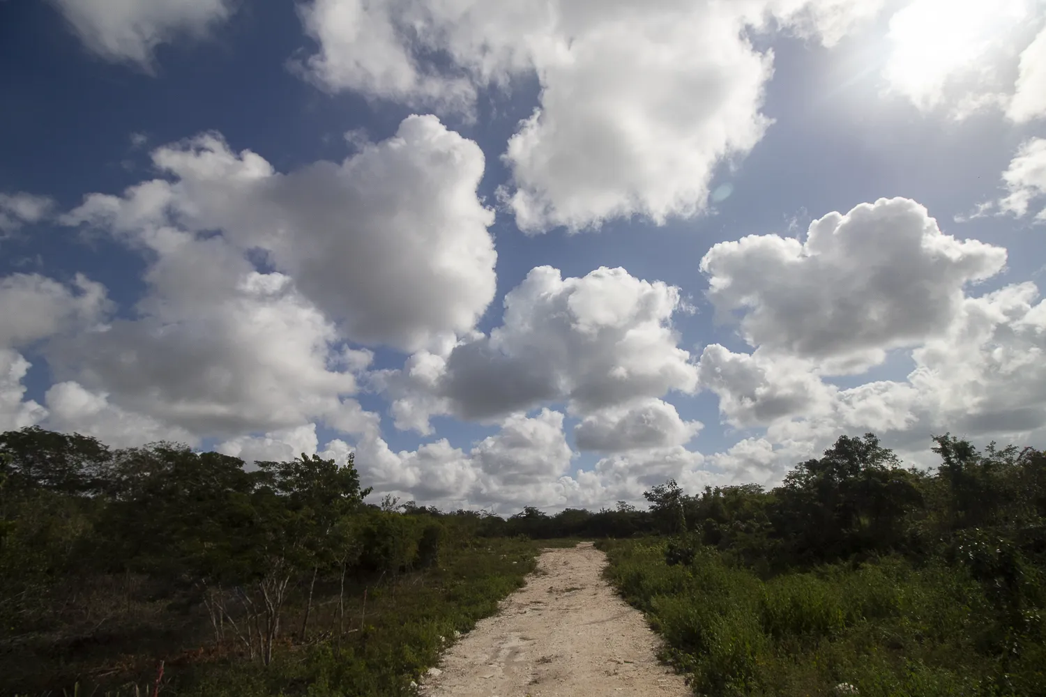 Terreno de inversión en Yucatán, ¿una buena opción? — Casas en Valladolid