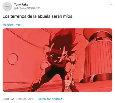 No te pelees por los terrenos de la abuela…