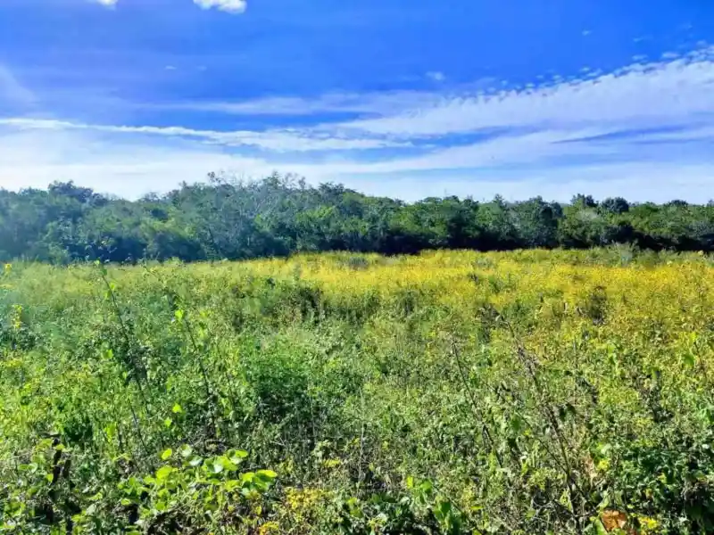 Ranch or country property near Valladolid, Yucatán