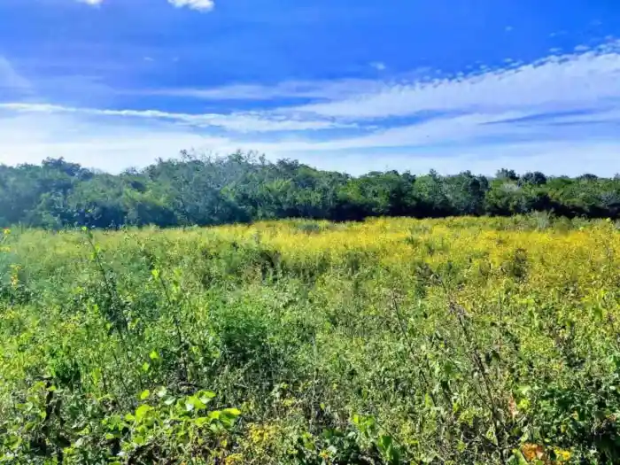 3 Advantages of owning a ranch or country home in Valladolid Yucatan