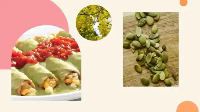 ¿Cómo hacer los papadzules Tradicionales?