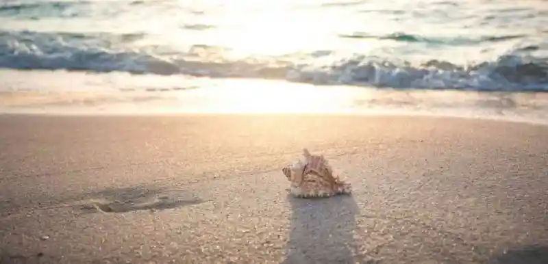 Viajar a la Playa El Cuyo desde Valladolid