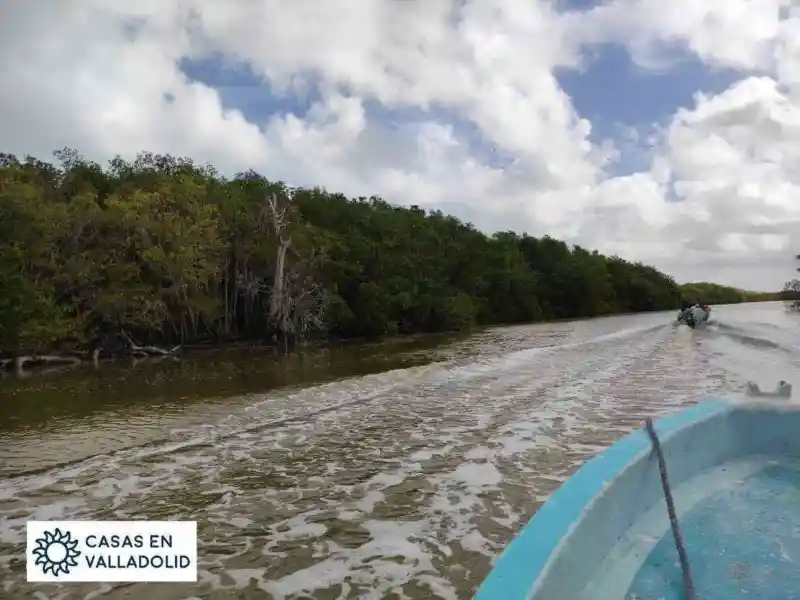 Una aventura de Valladolid a Río Lagartos y Las Coloradas.
