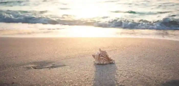 Viajar a la Playa El Cuyo desde Valladolid