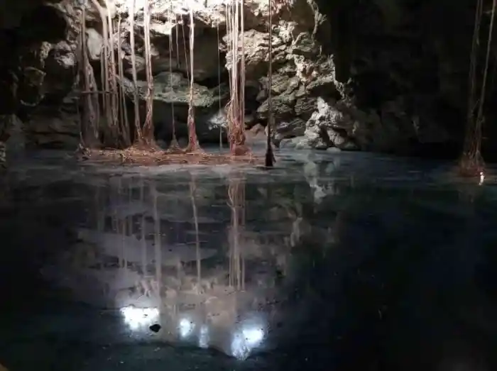 Prepárate para visitar cenotes en venta