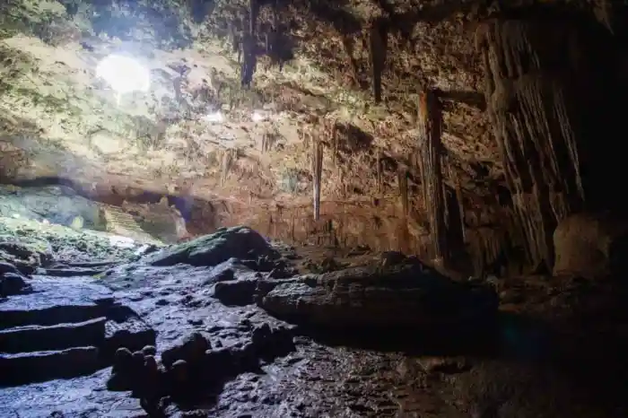 Cenotes en venta cerca de Valladolid Yucatán