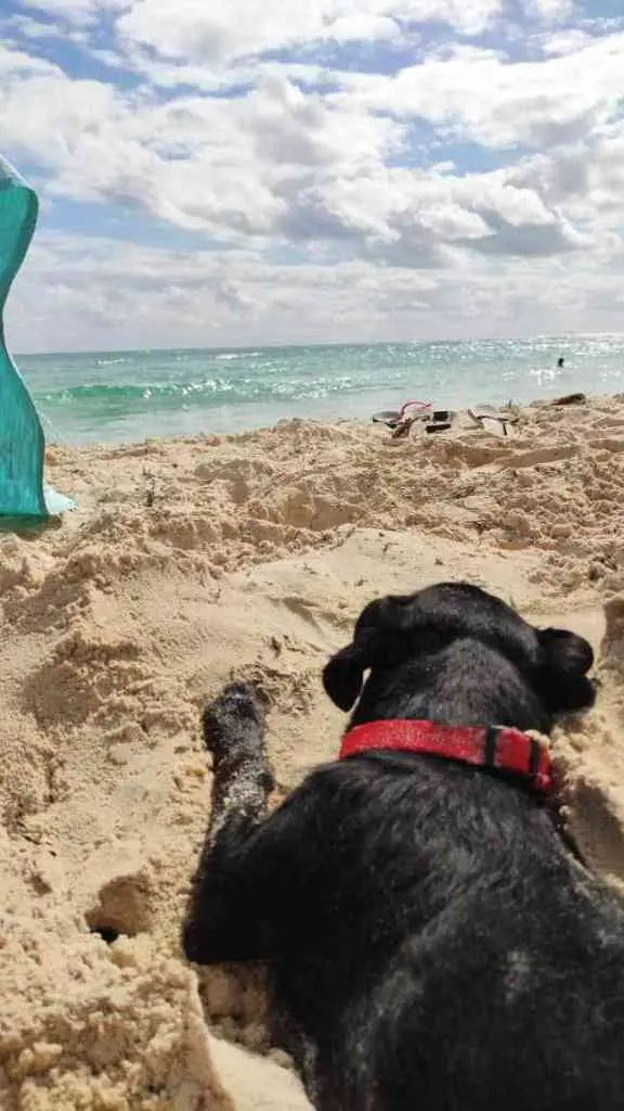 Valladolid, the best option for your retirement