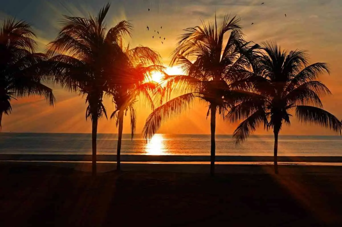Vivir en Yucatán, a pesar del calor...