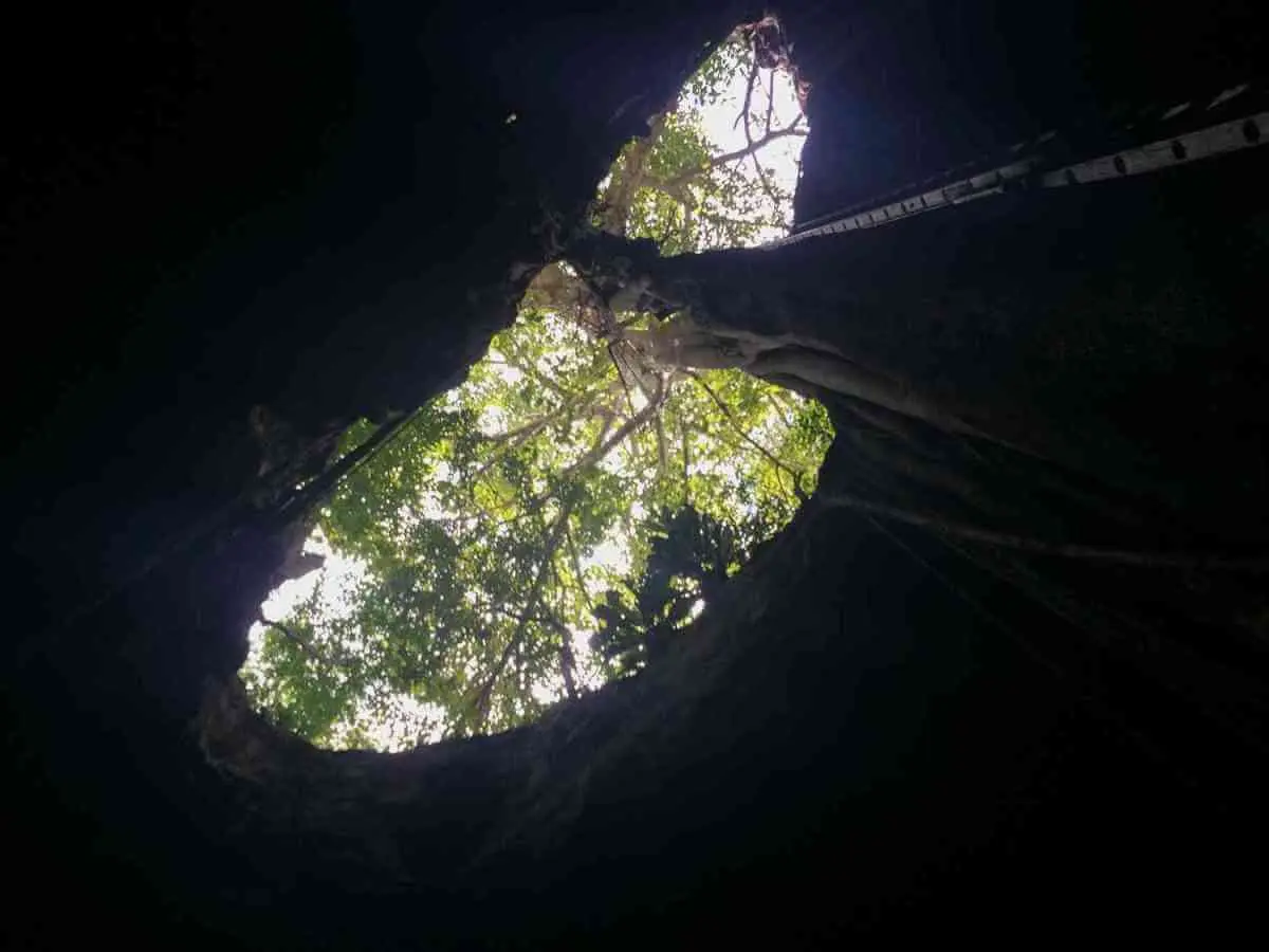 Get ready to visit cenotes for sale 